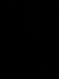 imageb8298512c8bf.jpg?f=webp&w=200