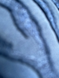 imagec74ed9afe1f7.jpg?f=webp&w=200