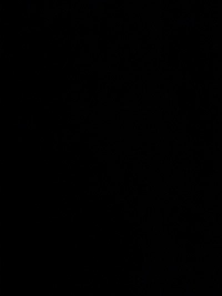 imagece230619e8f1.jpg?f=webp&w=200