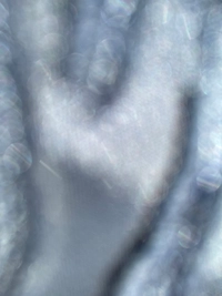 imagef362b57a4ac4.jpg?f=webp&w=200