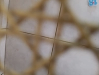 1000028517b8256618294f.jpg?f=webp&w=200