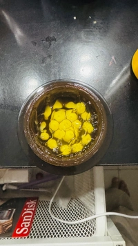 3b1710b9-4551-42af-a6b7-7f8ccbb20116e9f2