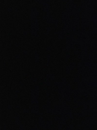 IMG_50836d249b66c117.jpeg?f=webp&w=200