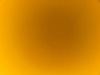 image288d132786bc.jpg?f=webp&w=200