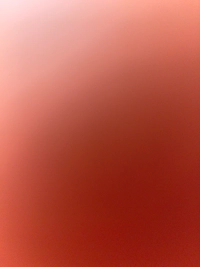 image29704494d884.jpg?f=webp&w=200