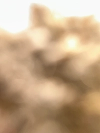 imagee84b131b211a.jpg?f=webp&w=200