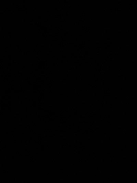 imageea6c323c2c41.jpg?f=webp&w=200