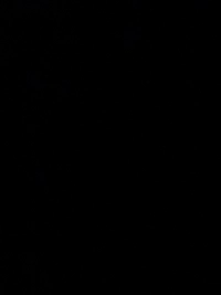 imagef899395ec80f.jpg?f=webp&w=200