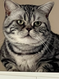 IMG_02431f861d742d8b.jpeg?f=webp&w=200