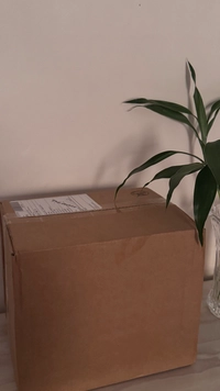 IMG_3274c815d0997ee9.jpeg?f=webp&w=200