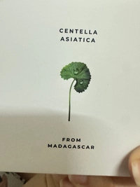 IMG_82367e49d91239c5.jpeg?f=webp&w=200