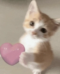 Screenshot2025110917313217626988247330b8