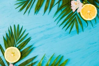 _23214812227217640857579266b51a65e3db1.j