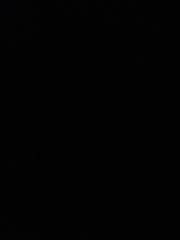 image020371628070.jpg?f=webp&w=200