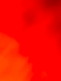 image2c0dd75d6179.jpg?f=webp&w=200