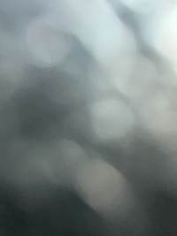 image334406540b5d.jpg?f=webp&w=200