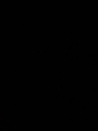 image35f18f634a4e.jpg?f=webp&w=200