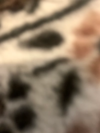 image392b3394e2a2.jpg?f=webp&w=200