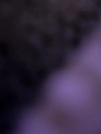 image70035159c449.jpg?f=webp&w=200