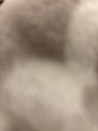 image9992eb675a16.jpg?f=webp&w=200