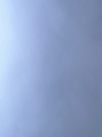 image9d60eb47b4ba.jpg?f=webp&w=200