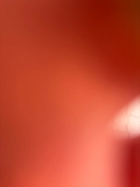 imagea1ab45cd0301.jpg?f=webp&w=200