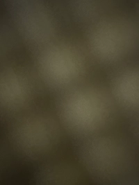 imageaa8ffc79a696.jpg?f=webp&w=200