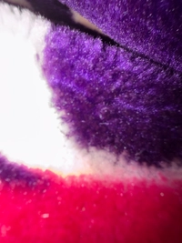 imageb36785ef0637.jpg?f=webp&w=200