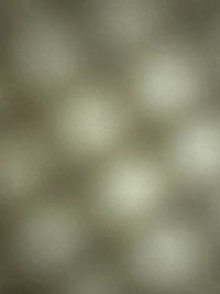 imageb8fc5c524a04.jpg?f=webp&w=200