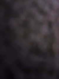 imagebb1bfd9949e8.jpg?f=webp&w=200