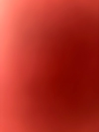 imagec2b2af813cd7.jpg?f=webp&w=200