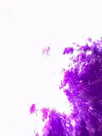 imaged4004edb796b.jpg?f=webp&w=200