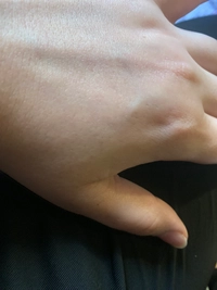 imageddc392494d55.jpg?f=webp&w=200