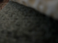 imageff125ff76a25.jpg?f=webp&w=200