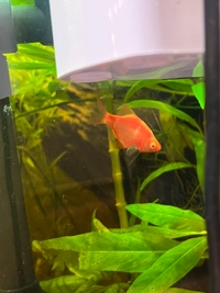 1765312843_IMG_973607d3b5273ed2.jpeg?f=w