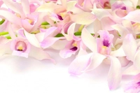 1d65472e492fa9bcf92064073f030ac117651968