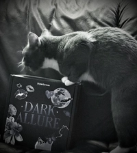 IMG_196827d7f2adbf6f.jpeg?f=webp&w=200