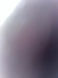 IMG_2580f763c62e6ee3.jpeg?f=webp&w=200