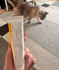 IMG_263083c1aadca0a1.jpeg?f=webp&w=200