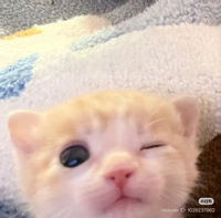 IMG_40866b8d273e6763.jpeg?f=webp&w=200