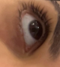 IMG_9095a1382b78ac39.jpeg?f=webp&w=200