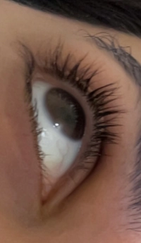 IMG_90962ba849c35c85.jpeg?f=webp&w=200