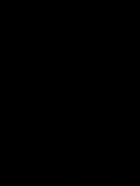 image3dd84eefed53.jpg?f=webp&w=200