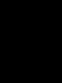 image45f39fd6bd54.jpg?f=webp&w=200