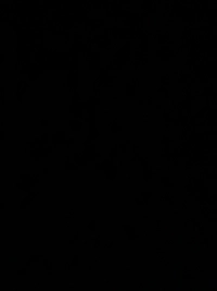 image48baeddbeaad.jpg?f=webp&w=200