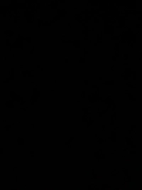 image8aa40a70c2c5.jpg?f=webp&w=200