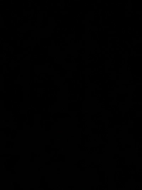 imageb1ba7a84d4f2.jpg?f=webp&w=200