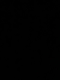 imageb986fcb3288f.jpg?f=webp&w=200