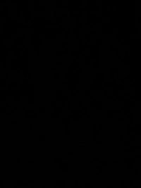 imaged911cd1b6b46.jpg?f=webp&w=200