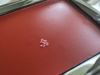 IMG_4510d77ae9aae6d5.jpeg?f=webp&w=200